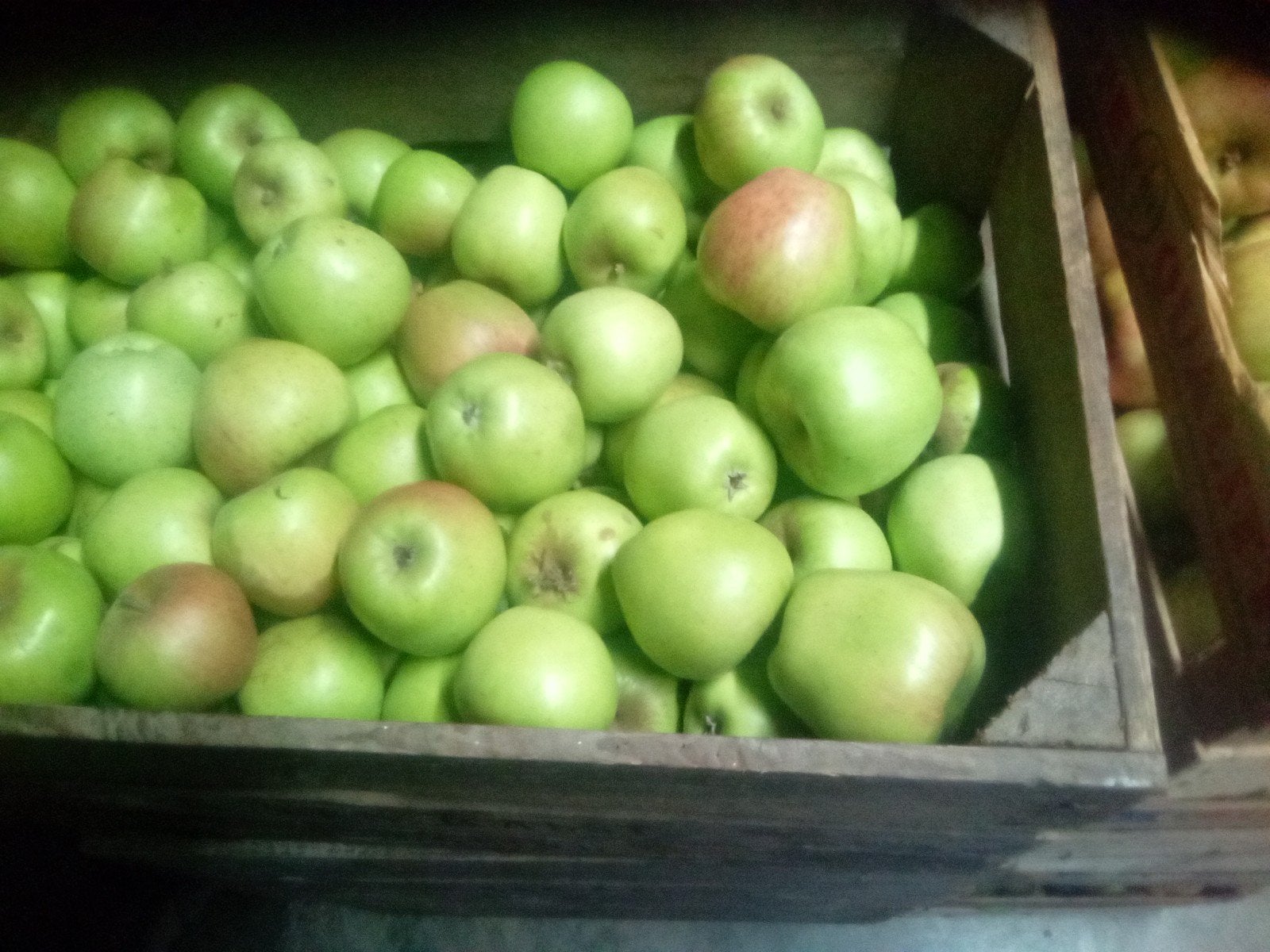 Biologische Onbespoten Appels - Vers geplukt, Ophalen
