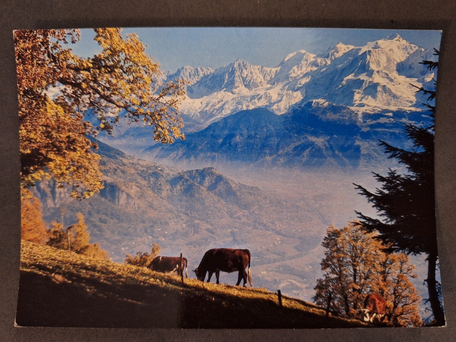 Frankrijk - 74 - Massif du Mont Blanc, Ophalen of Verzenden, Gelopen, Frankrijk