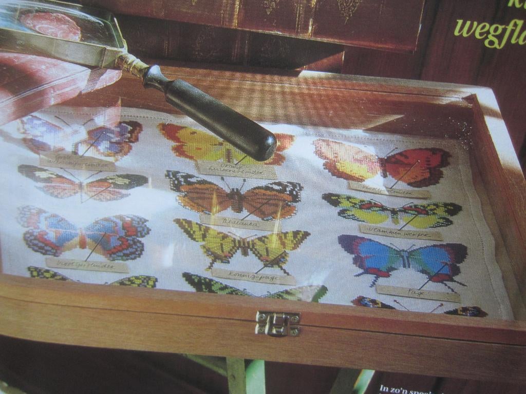 borduurpatroon telpatronen VLINDERS, Ophalen of Verzenden, Zo goed als nieuw, Handborduren, Patroon