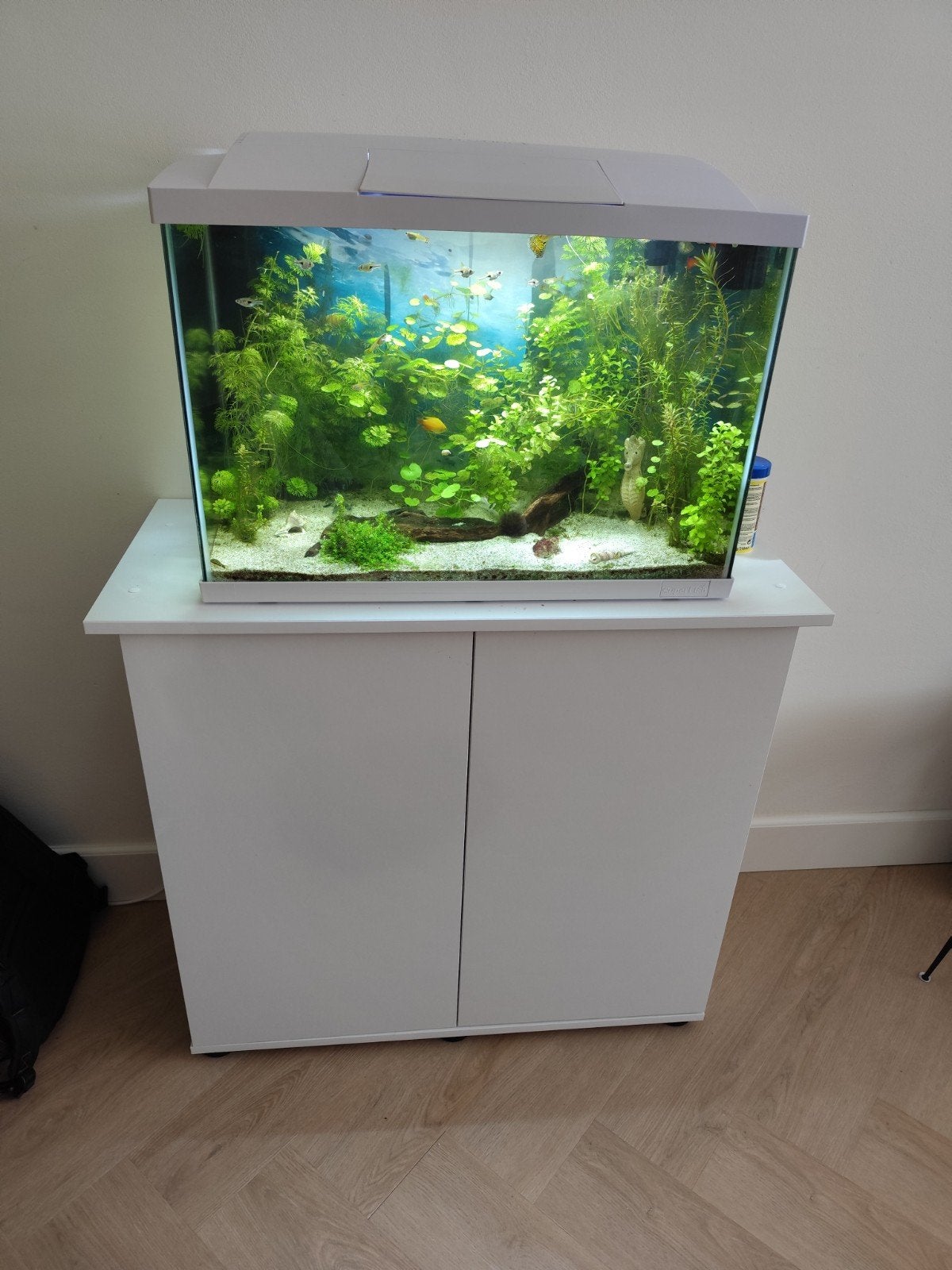 Aquarium + meubel, Dieren en Toebehoren, Vissen | Aquaria en Toebehoren, Ophalen, Zo goed als nieuw, Leeg aquarium, Superfish