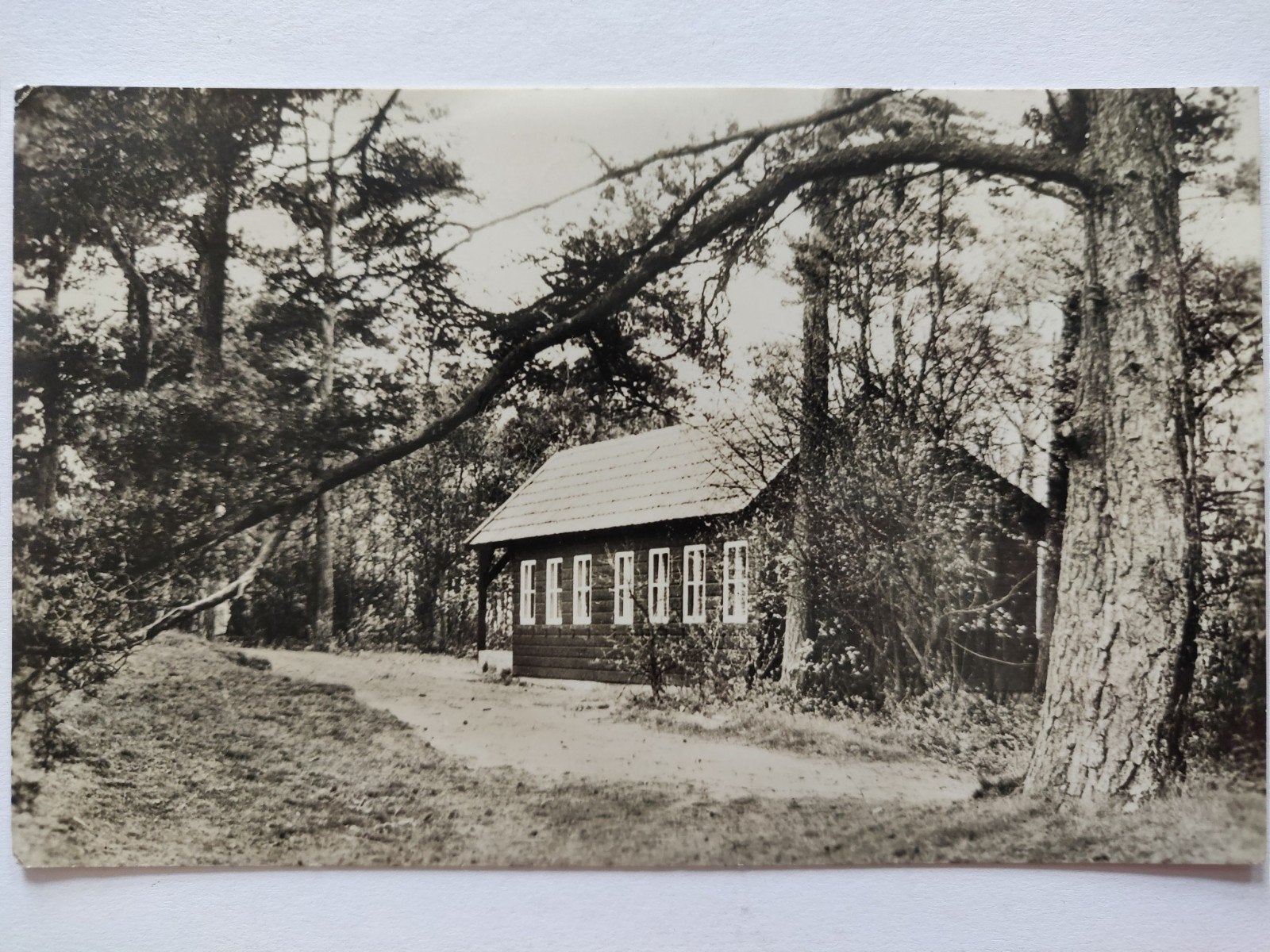C948 Gasselte, Ophalen of Verzenden, 1920 tot 1940