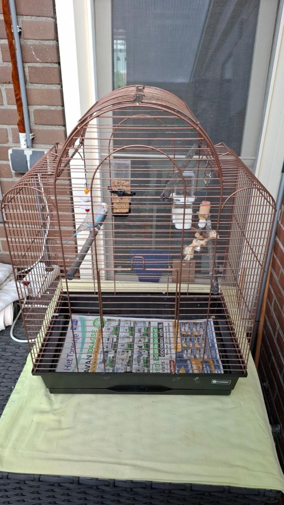 Parkiet met Kooi van Flamingo, Ophalen, Zo goed als nieuw, Metaal, Vogelkooi
