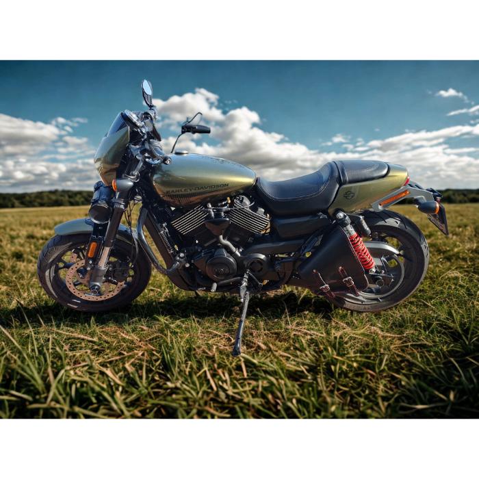 Harley Davidson Street Rod 750 (2019) - Als nieuw!, 750 cc, 2 cilinders, Gebruikt, Particulier