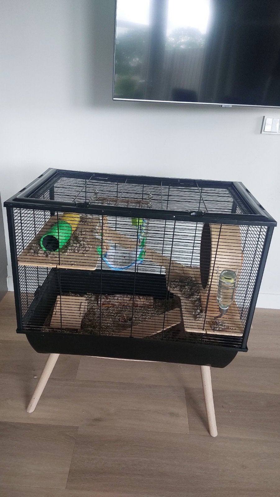 Hamsterkooi met hamster, Ophalen, Kooi, Gebruikt, 60 tot 90 cm