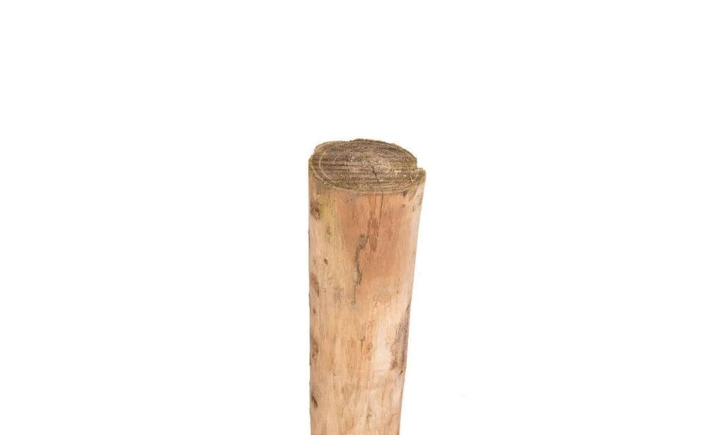Robinia palen, 8/10cm - Vanaf €6,75, Ophalen, Nieuw, 250 cm of meer, Palen