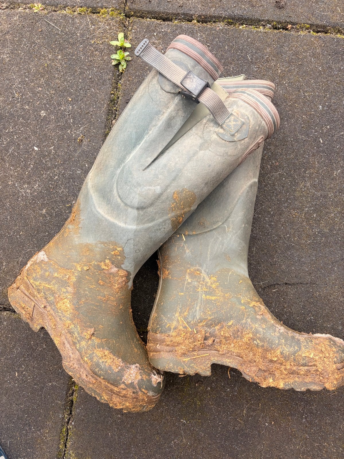 Aigle Parcour laarzen - Gedragen, worden schoongemaakt, Ophalen of Verzenden, Gedragen