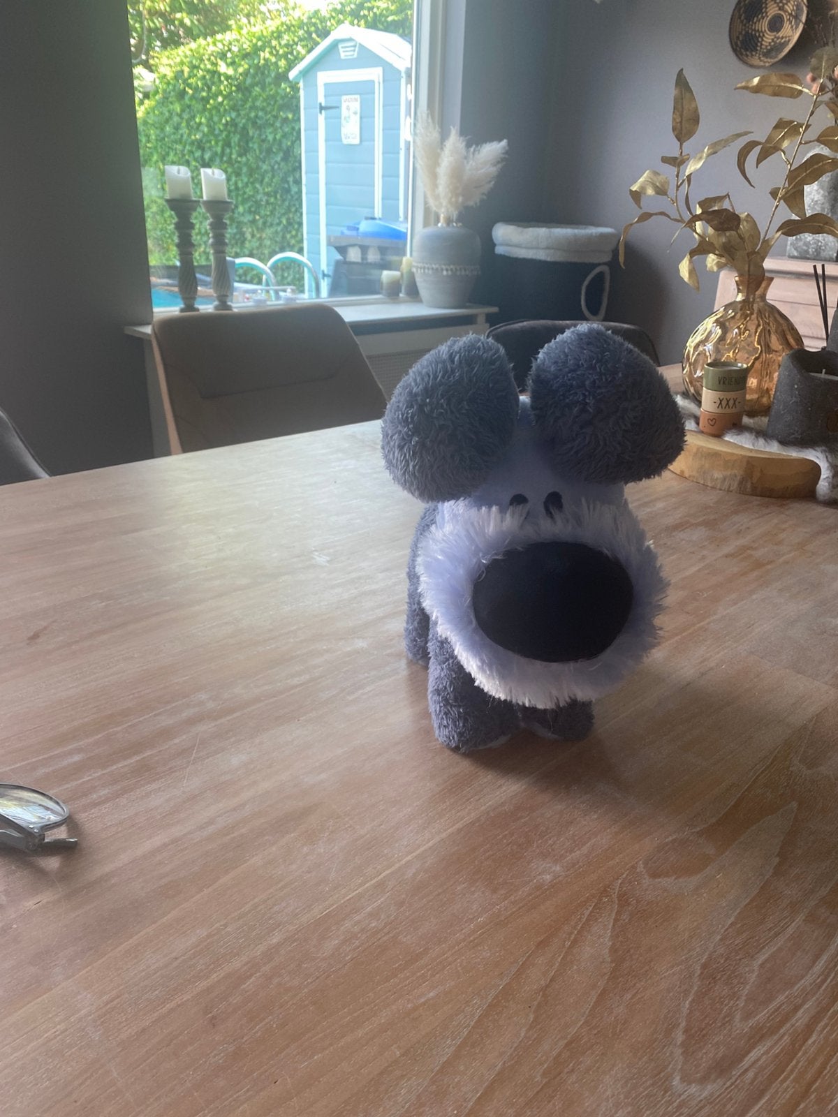Leuk lopend / pratende woezel zgn voor 7,50€  ophalen cborg, Ophalen, Zo goed als nieuw
