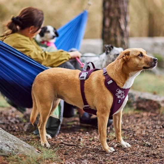 Hurtta Weekend Warrior II ECO Sela Aubergine – 75-100cm, Ophalen of Verzenden, Nieuw, Hondenriem
