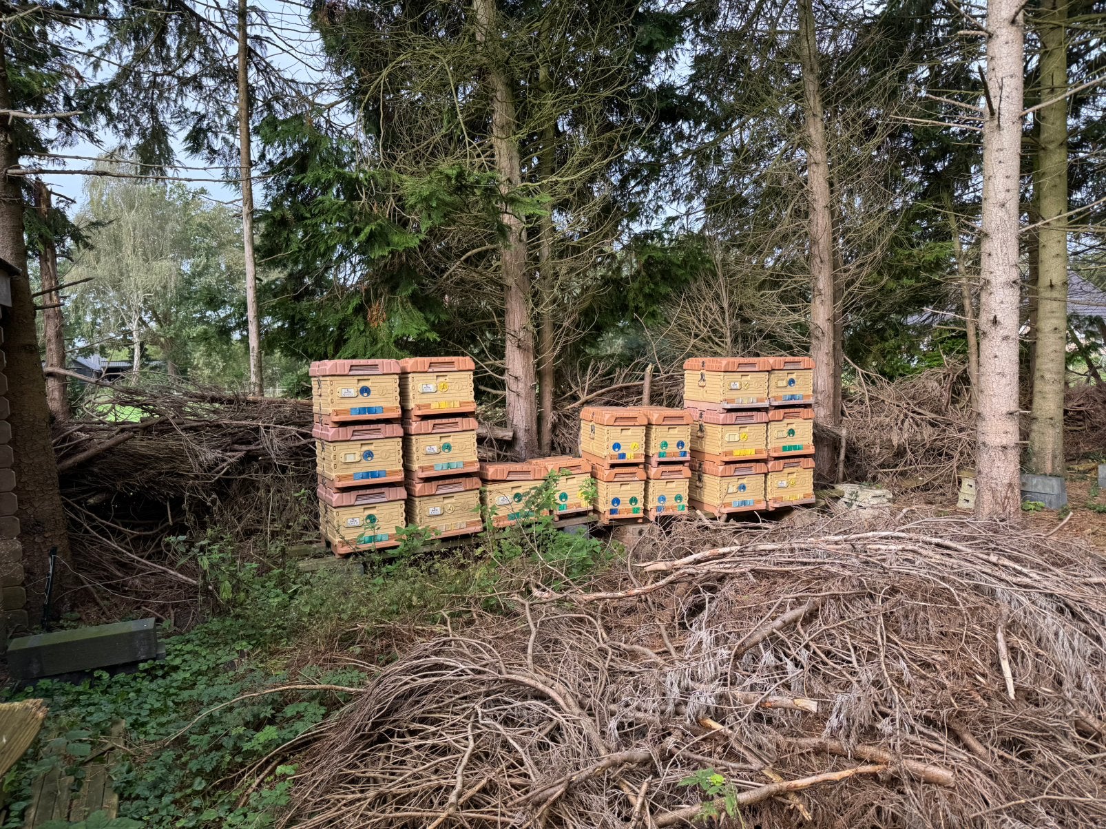 Apimaye Langstroth LN23 bijenkasten 10 ramers + honingkamers, Dieren en Toebehoren, Bijen
