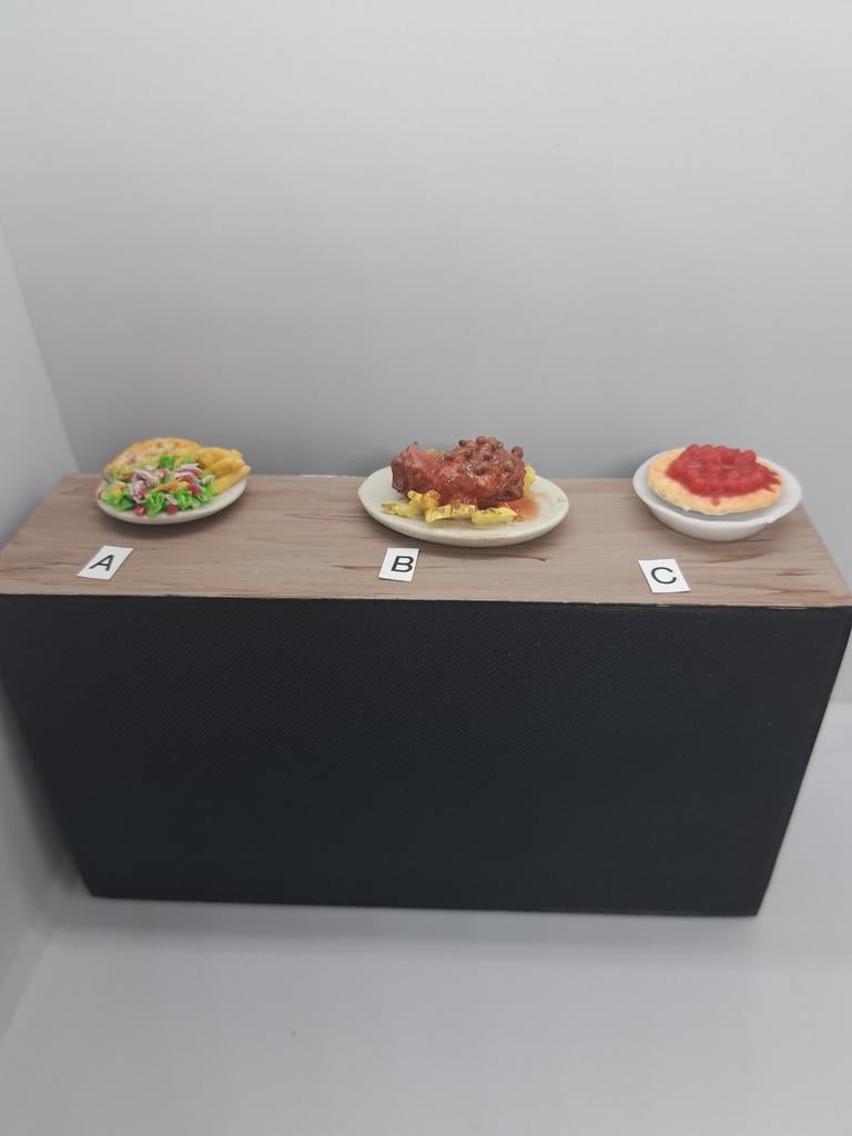 Welke kies jij?, Ophalen of Verzenden, Zo goed als nieuw, Poppenhuis