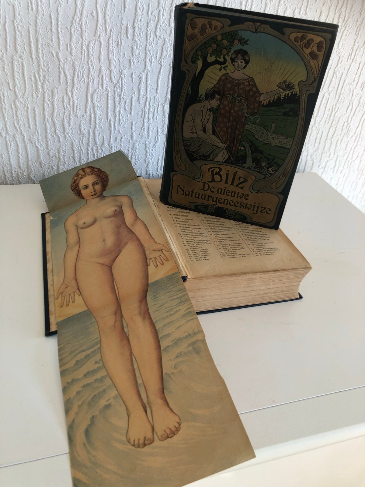Bilz: De nieuwe Natuurgeneeswijze (2 delen)Vintage, Boeken, Ophalen, Gelezen, Kruiden en Alternatief