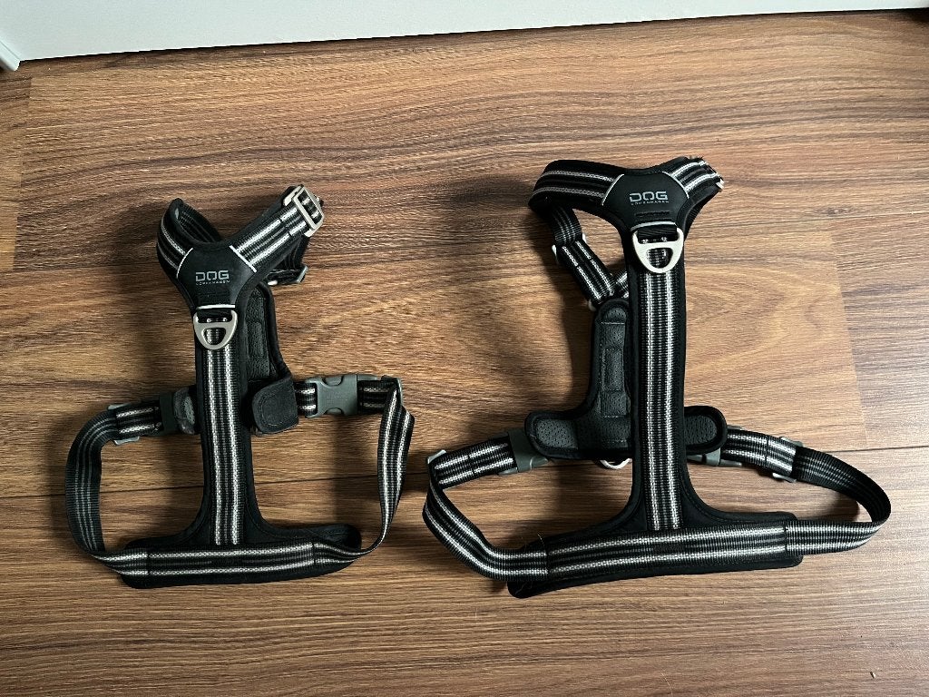 Dog Copenhagen tuig, riem en halsband, Ophalen of Verzenden, Nieuw