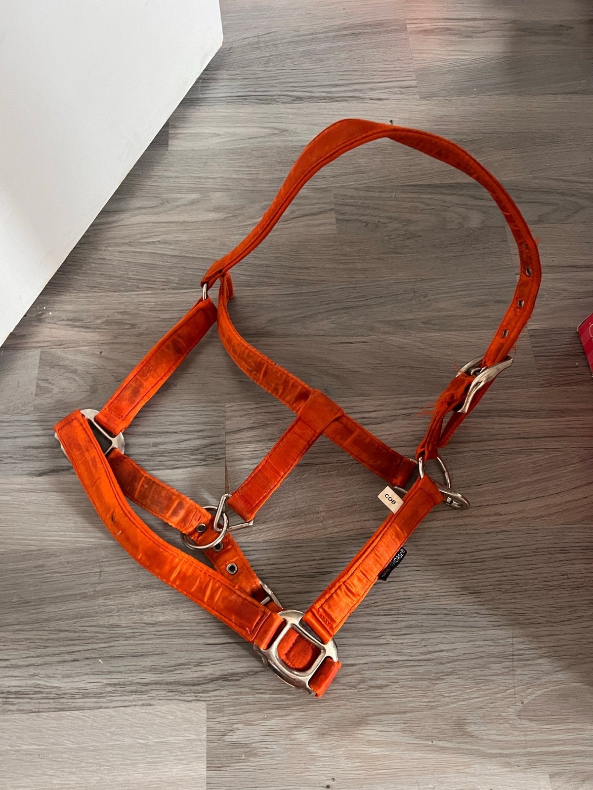 Oranje halsterset tekoop, Dieren en Toebehoren, Paarden en Pony's | Hoofdstellen en Tuigage, Gebruikt, Harry's Horse, Ophalen of Verzenden
