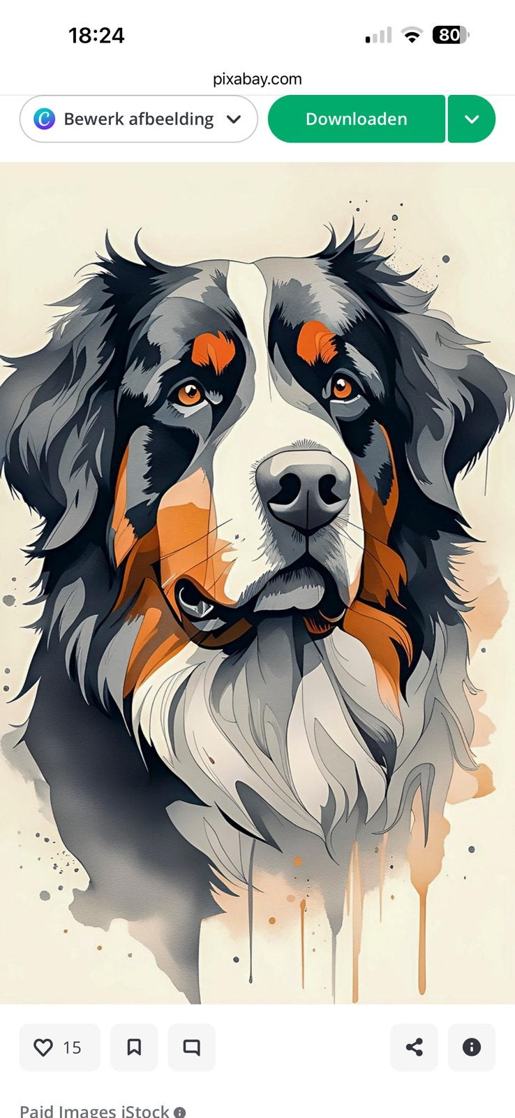 Gezocht herplaatser Berner Sennen, Teef, Groot, Eén hond, 3 tot 5 jaar