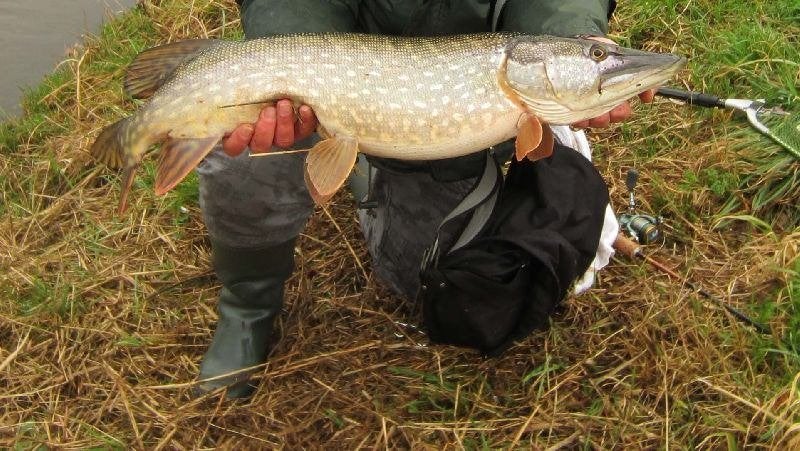 Snoekstreamers met dubbele Magnum (Tiger Barred zonkerstaart, Watersport en Boten, Ophalen, Nieuw, Complete set