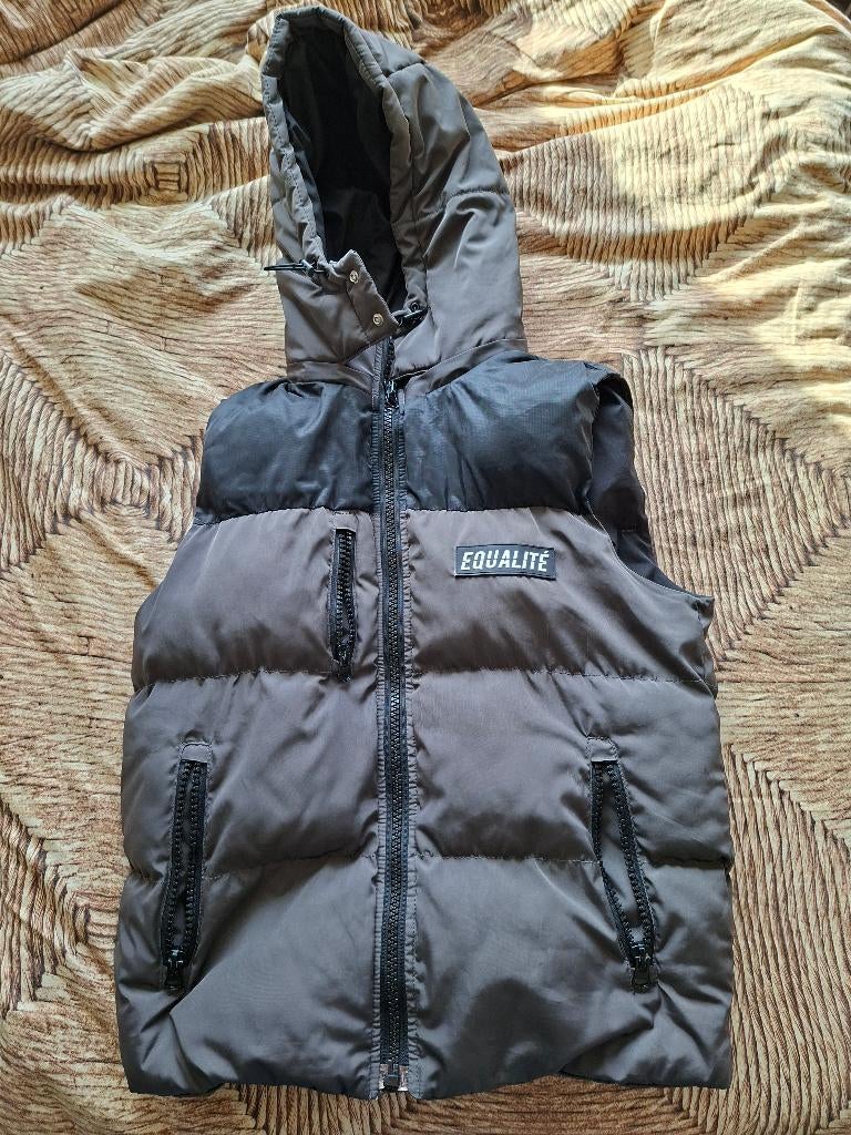 Heren Equalité bodywarmer, Kleding | Heren, Bodywarmers, Ophalen, Nieuw, Grijs