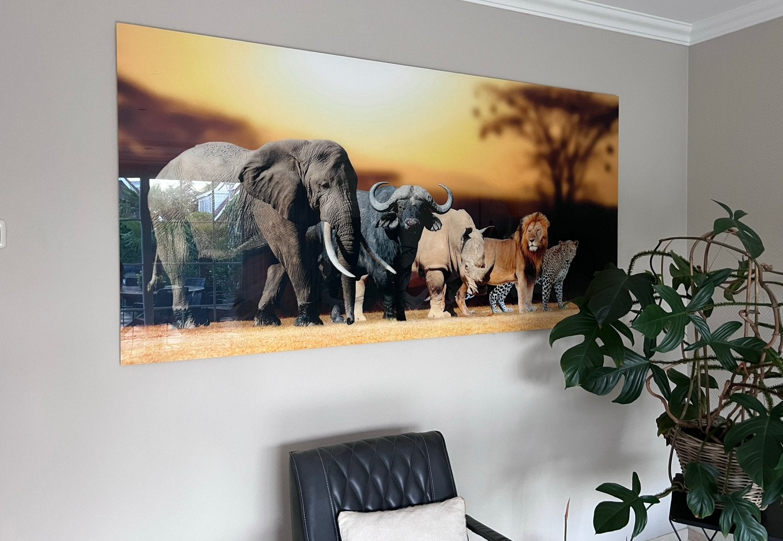 Big 5 foto op plexiglas, groot formaat, Antiek en Kunst, Ophalen