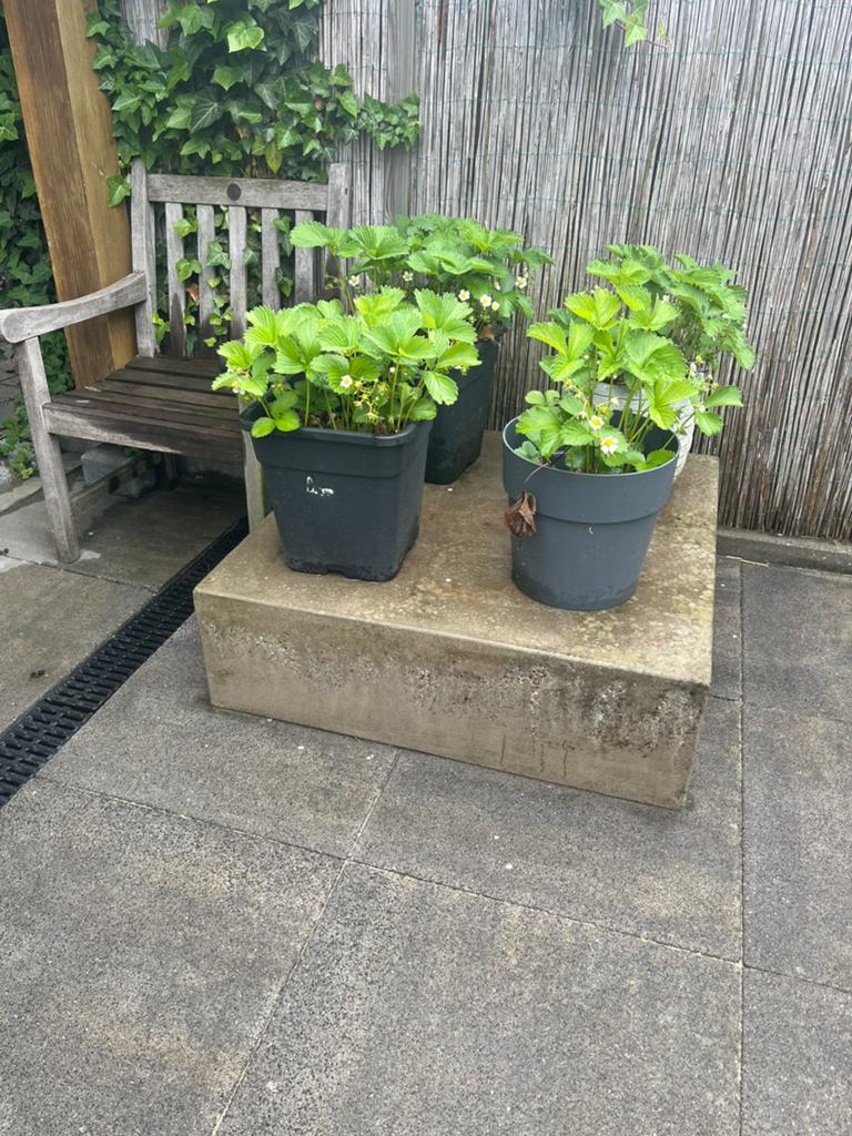 Tuintafel beton gratis, Tuin en Terras, Ophalen, Zo goed als nieuw, Vierkant, Overige materialen