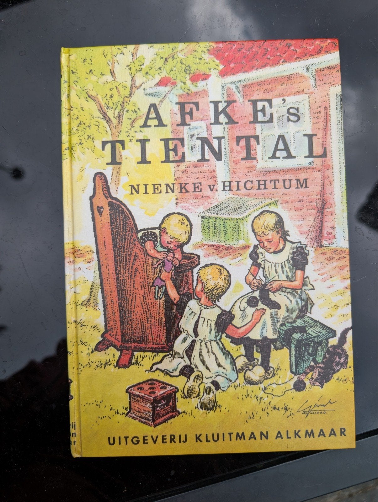 Afke's tiental, Ophalen of Verzenden, Gelezen, Nienke van Hichtum, Non-fictie