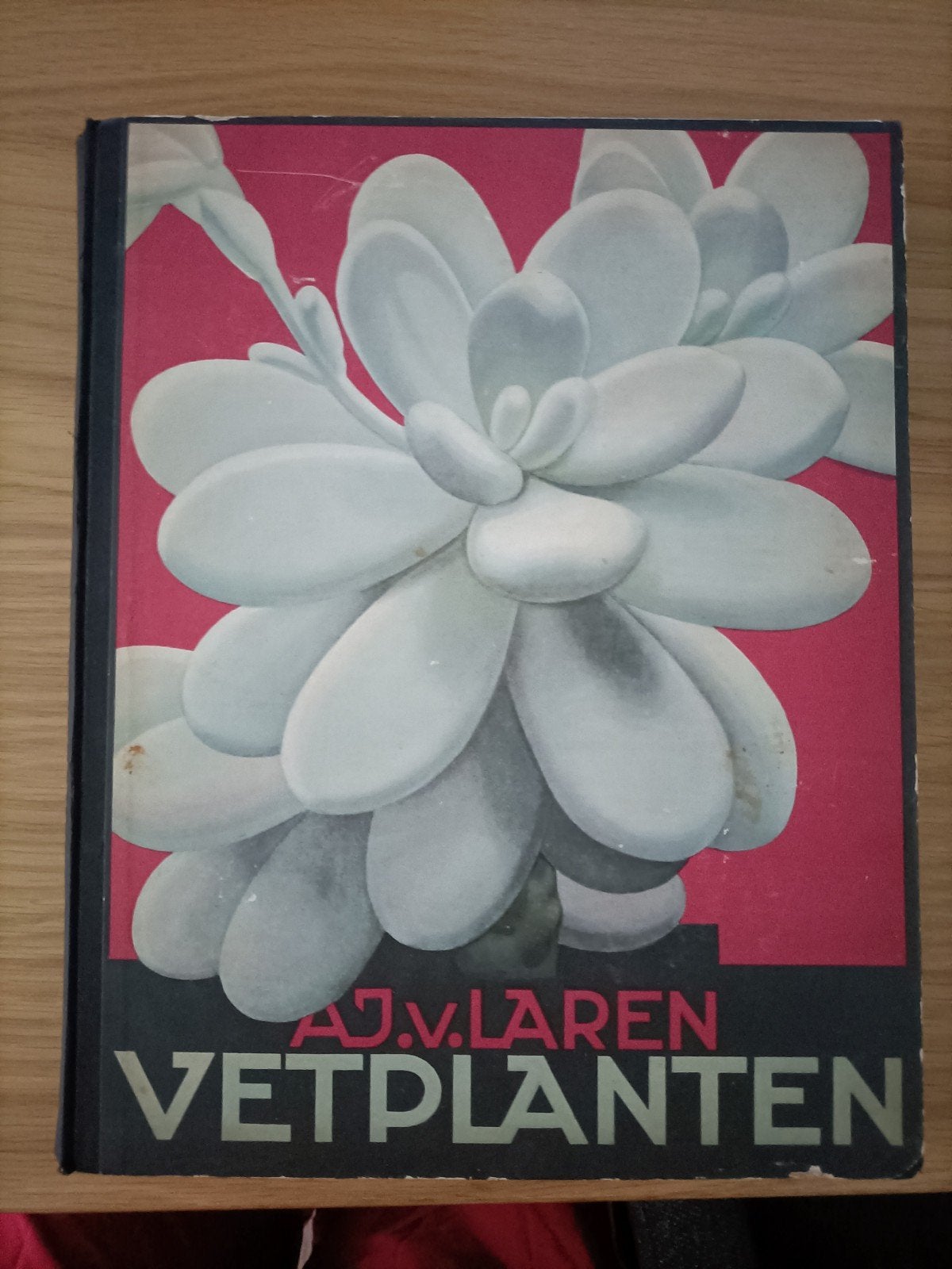 Verkade boek vetplanten, Boeken, Prentenboeken en Plaatjesalbums, Ophalen of Verzenden, Gelezen, A.J. van Laren, Plaatjesalbum