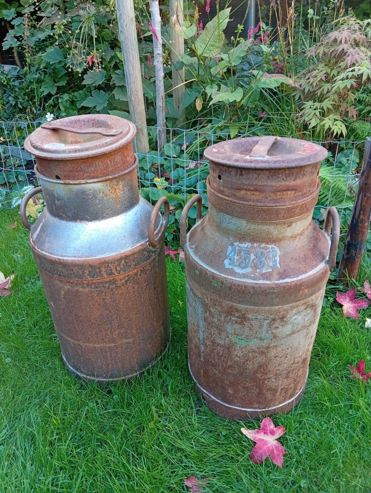 2 Melkbussen, Ophalen, Rond, Minder dan 25 cm, Minder dan 40 cm
