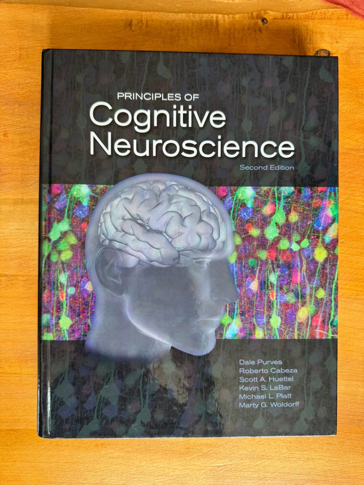 Principles of Cognitive Neuroscience, Boeken, Ophalen of Verzenden, Beta, Zo goed als nieuw, WO