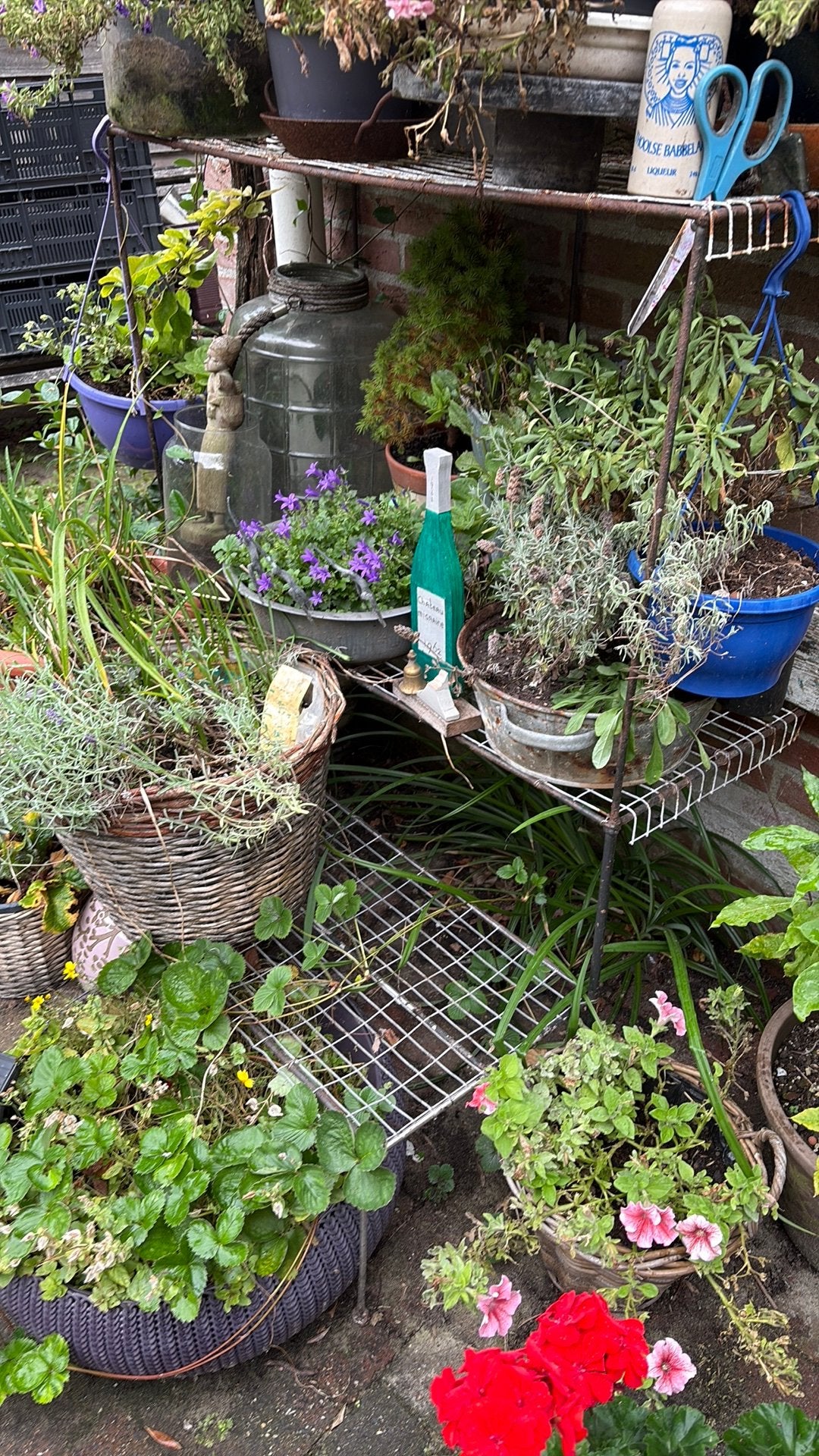 Planten rek voor tuin of balkon, Tuin en Terras, Gebruikt, 40 cm of meer, Ophalen of Verzenden, Metaal