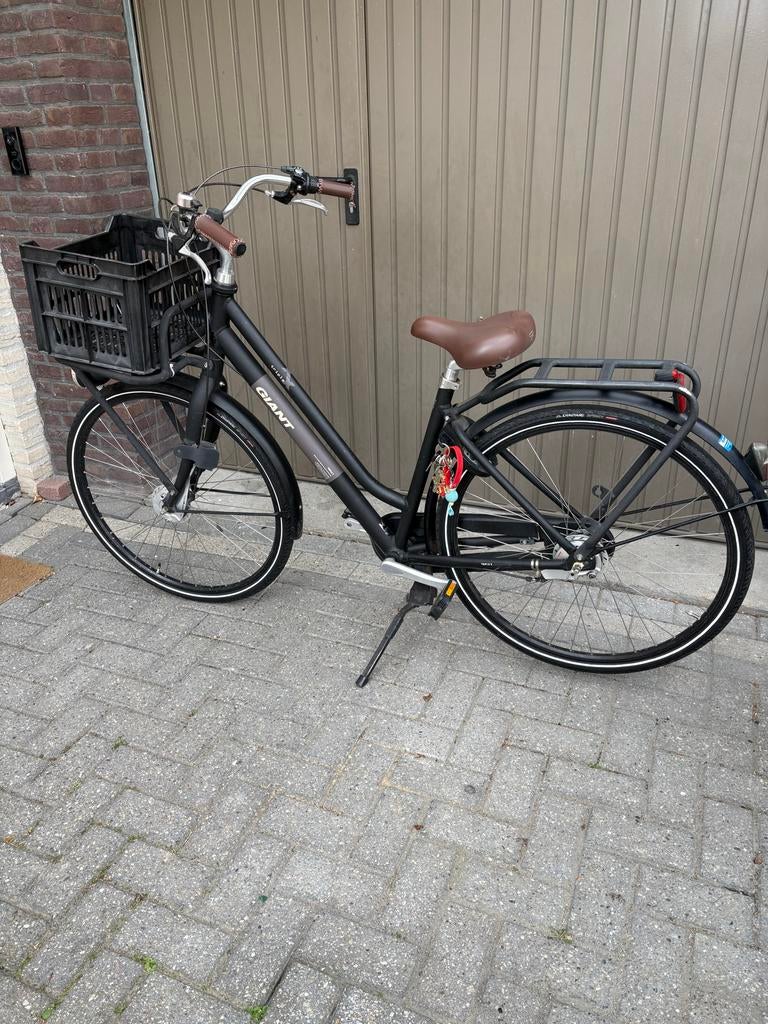 Giant Triple X damesfiets, Fietsen en Brommers, Fietsen | Dames | Damesfietsen, Zo goed als nieuw, Giant, Versnellingen, 50 tot 53 cm