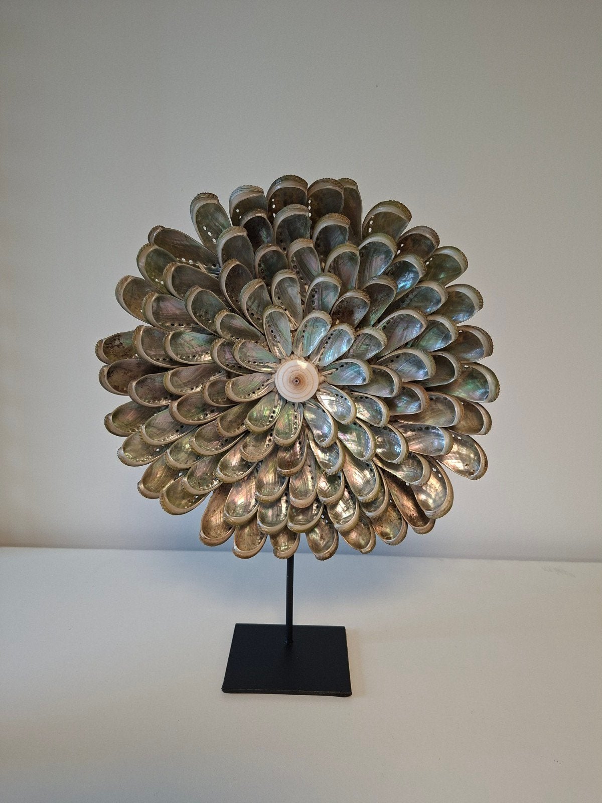 abalone  schelpen ornament, Huis en Inrichting, Ophalen of Verzenden, Nieuw