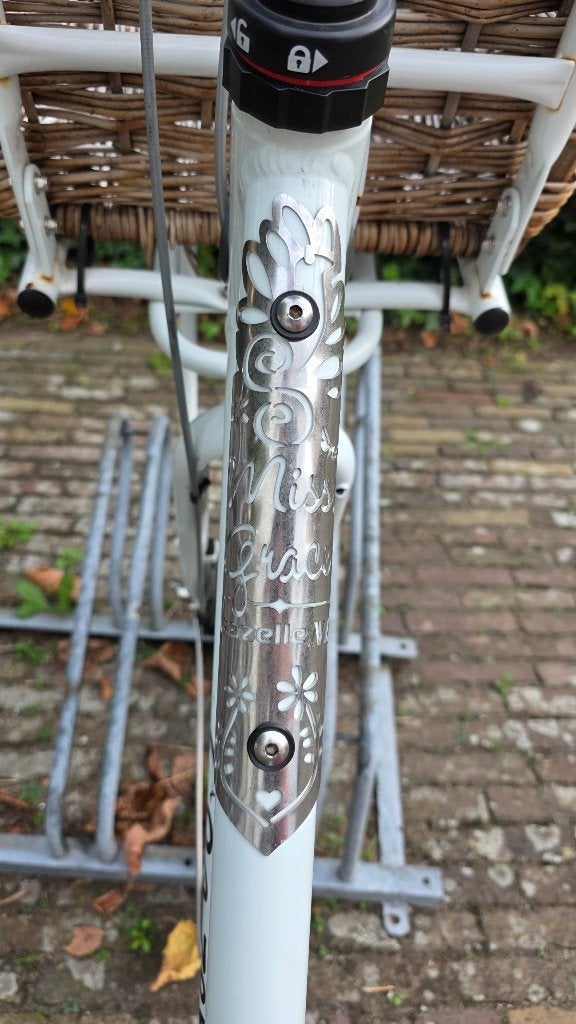 Foto 13 van Gazelle Miss Grace. 54 Frame, 3 Speed, Excellent Condition