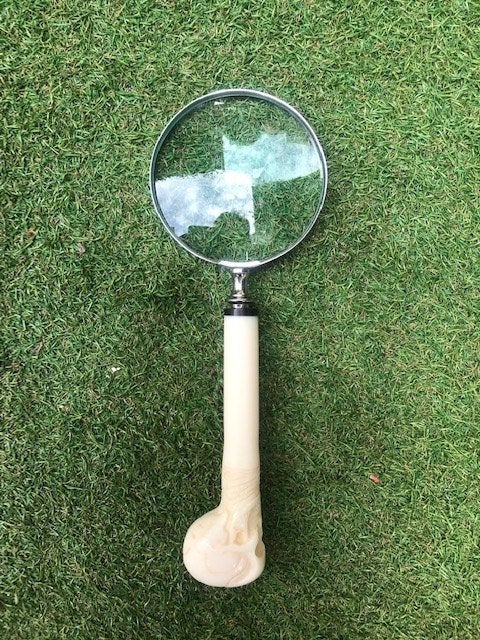 grote loep met schedelhandgreep, Antiek en Kunst, Curiosa en Brocante, Ophalen of Verzenden
