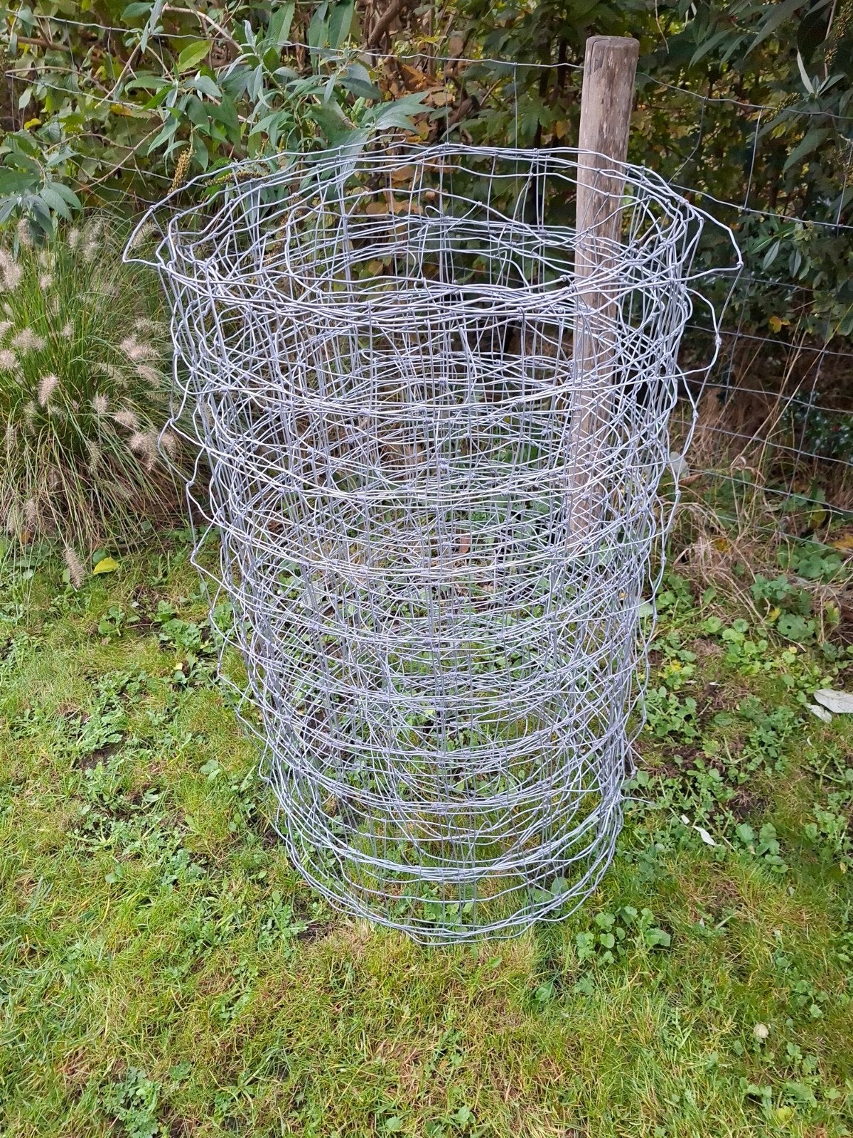 Schapengaas, Ophalen, Nieuw, 10 tot 20 meter, Gaas