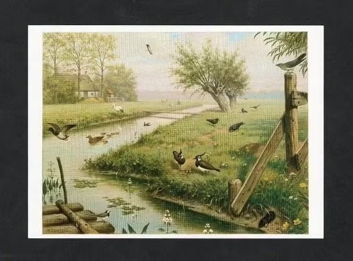 Ansichtkaart Schoolplaat In De Weide, Ooievaar Zwaluw Kievit, Ophalen of Verzenden, 1980 tot heden, Ongelopen, Waterdier