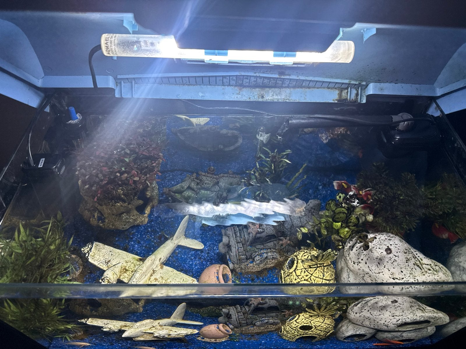 Complete Aquarium, Dieren en Toebehoren, Vissen | Aquaria en Toebehoren, Ophalen of Verzenden, Nieuw, Leeg aquarium