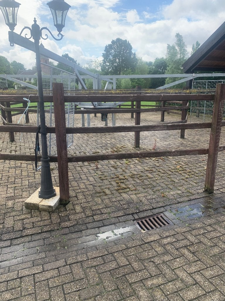 Stappenmolen, Dieren en Toebehoren, Stalling en Weidegang, Opfok, 4 paarden of pony's of meer