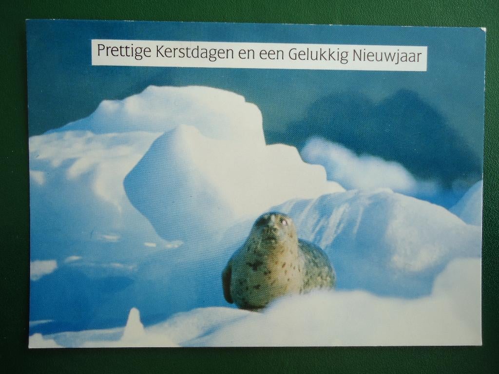 (1016) Dierenkaart: ZEEHOND, Verzenden, 1980 tot heden, Gelopen, Overige soorten