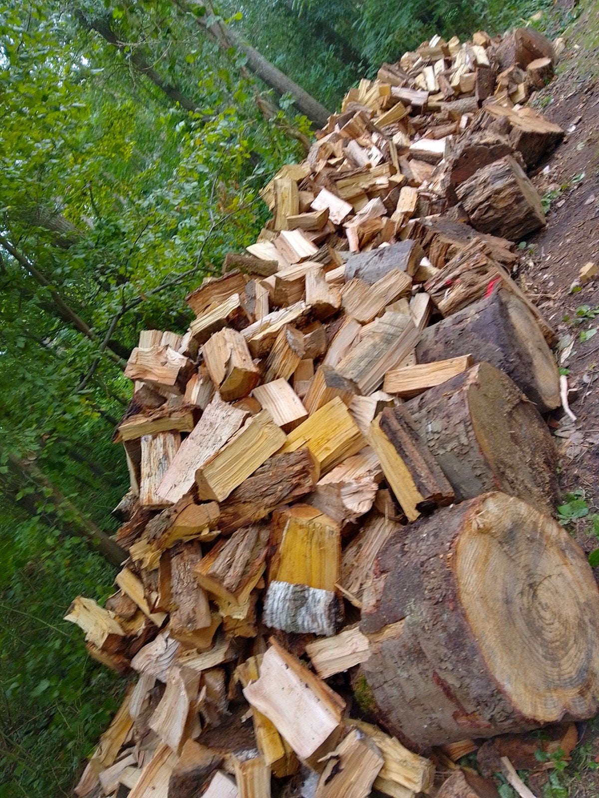 brandhout haardhout eiken ACACIA berk gekloofd en droog, Tuin en Terras, Haardhout, Minder dan 3 m³, Verzenden, Eikenhout, Blokken