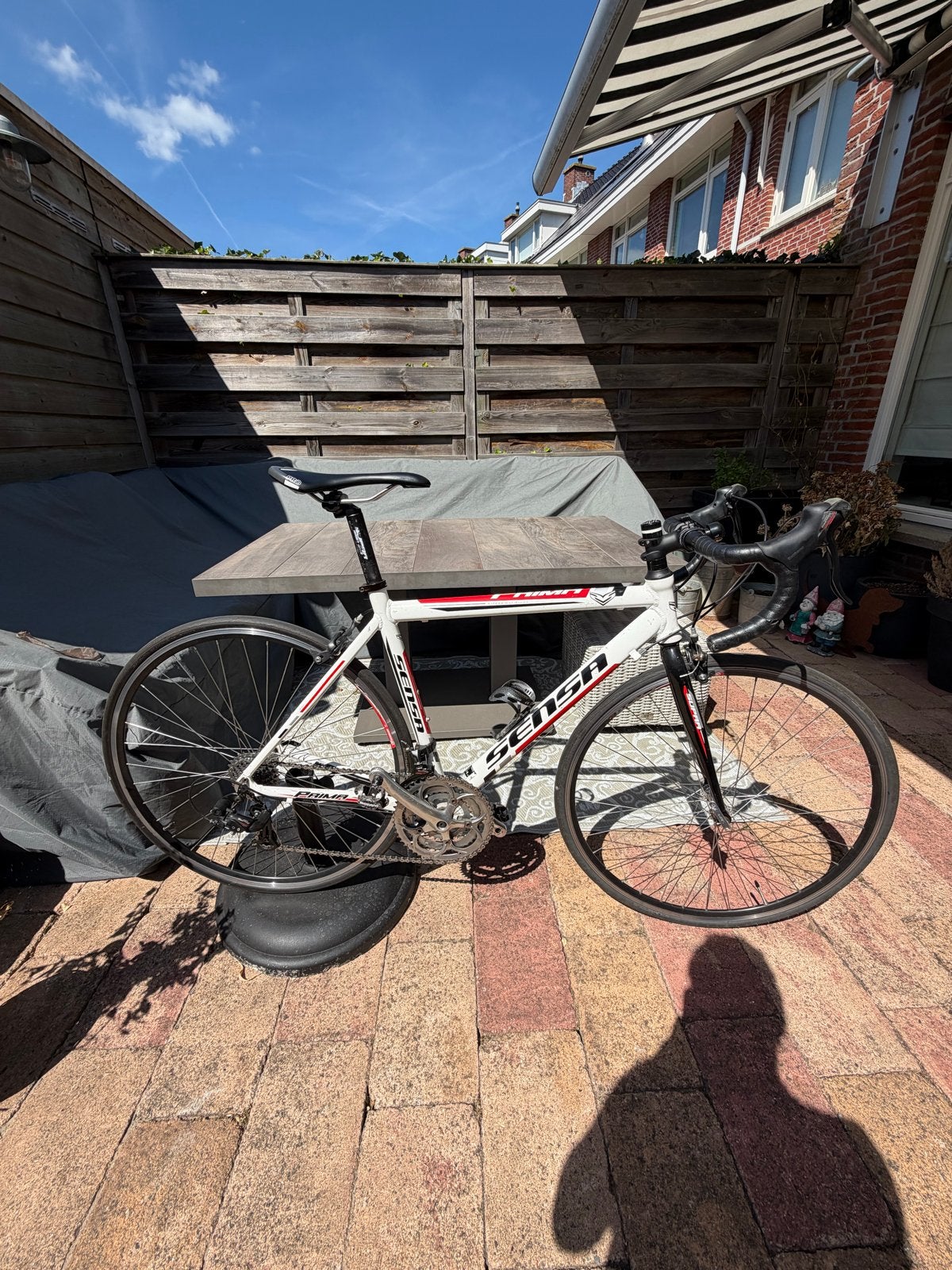 Sensa Prima racefiets, maat 51 - Ideaal voor beginners, Fietsen en Brommers, Fietsen | Racefietsen, 49 tot 53 cm, Ophalen, Gebruikt