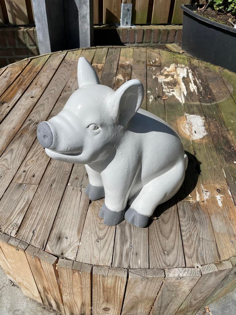 Schattig varkentje voor in de tuin of op het balkon, Tuin en Terras, Tuinbeelden, Ophalen, Gebruikt, Beton, Dierenbeeld