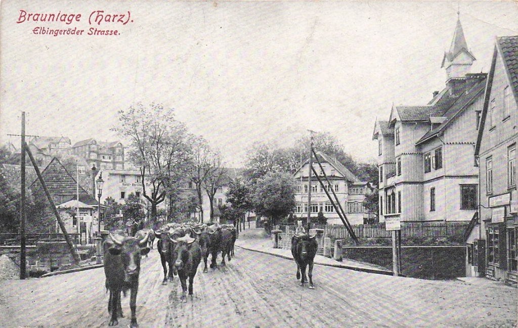 703-162-019 Braunlage (Harz) Elbingeröder Strasse, Verzenden, Voor 1920, Duitsland