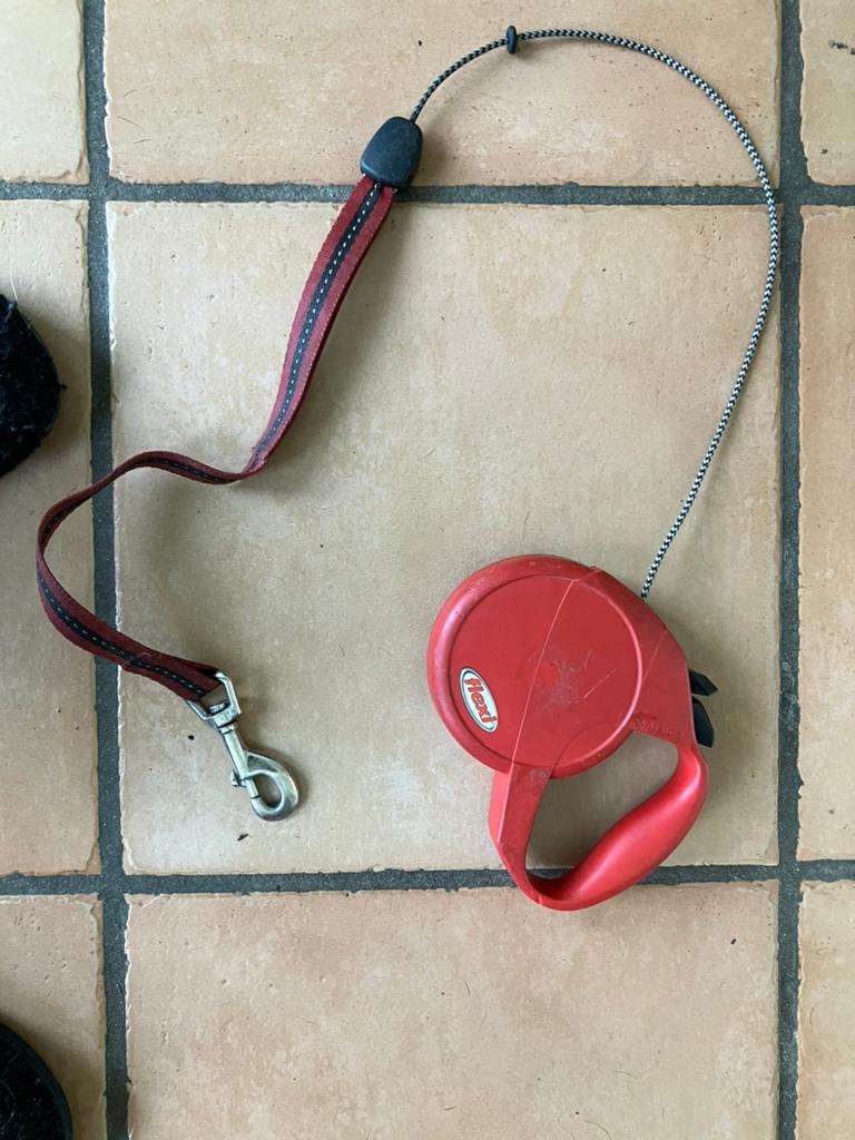 Rollo, goed werkend 5 mtr., Ophalen of Verzenden, Gebruikt, Hondenriem