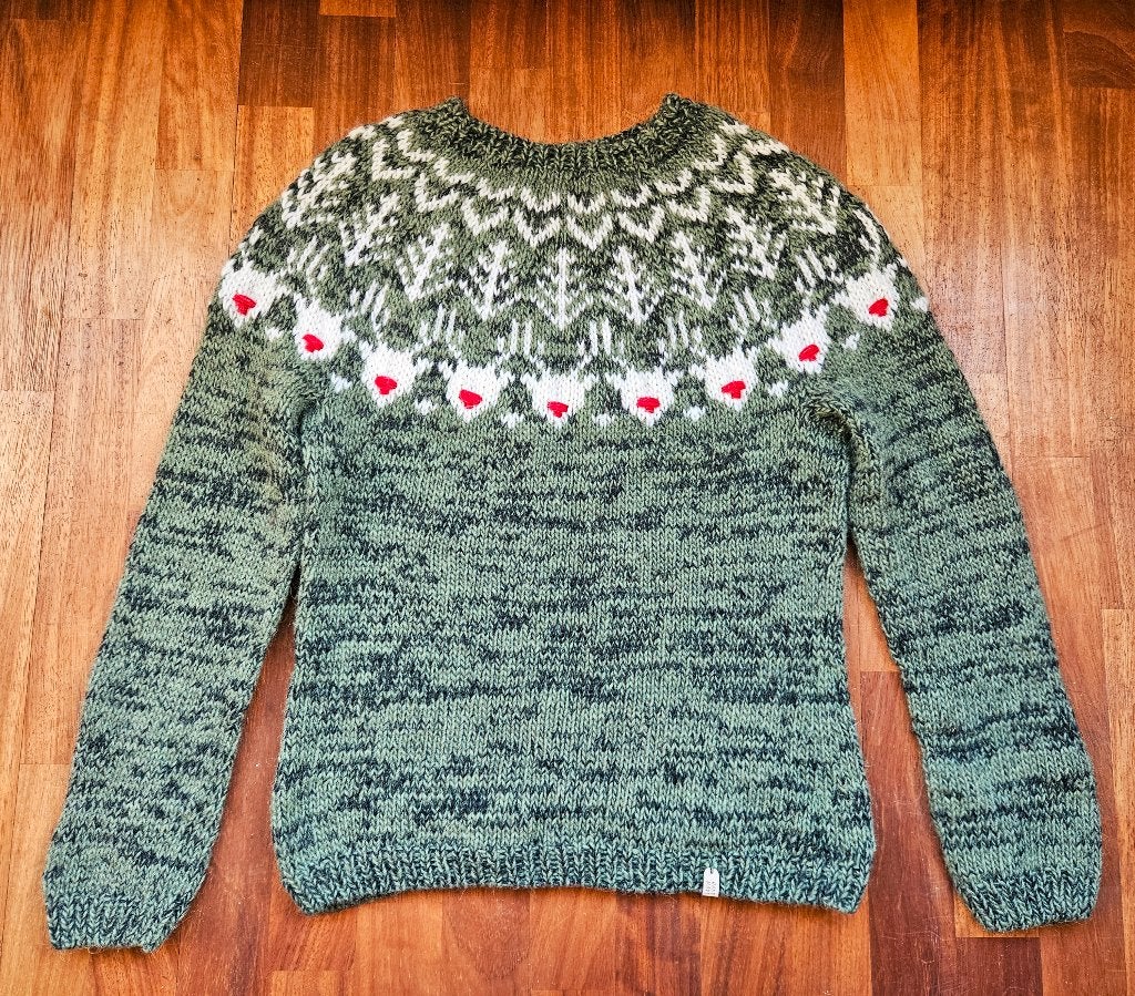 Nieuw handgebreide ijslandse trui - Maat M, Ophalen of Verzenden, Nieuw, Maat 38/40 (M), Groen