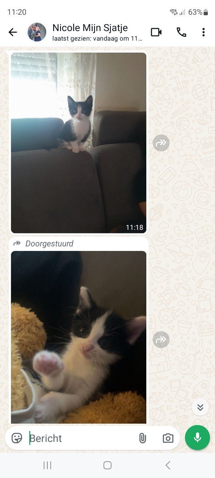 2 kittens, Dieren en Toebehoren, Ophalen of Verzenden
