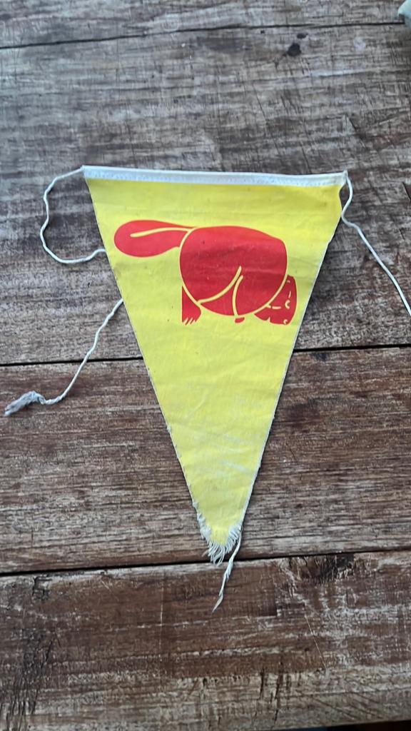 Bever tentvlag, Ophalen of Verzenden, Gebruikt