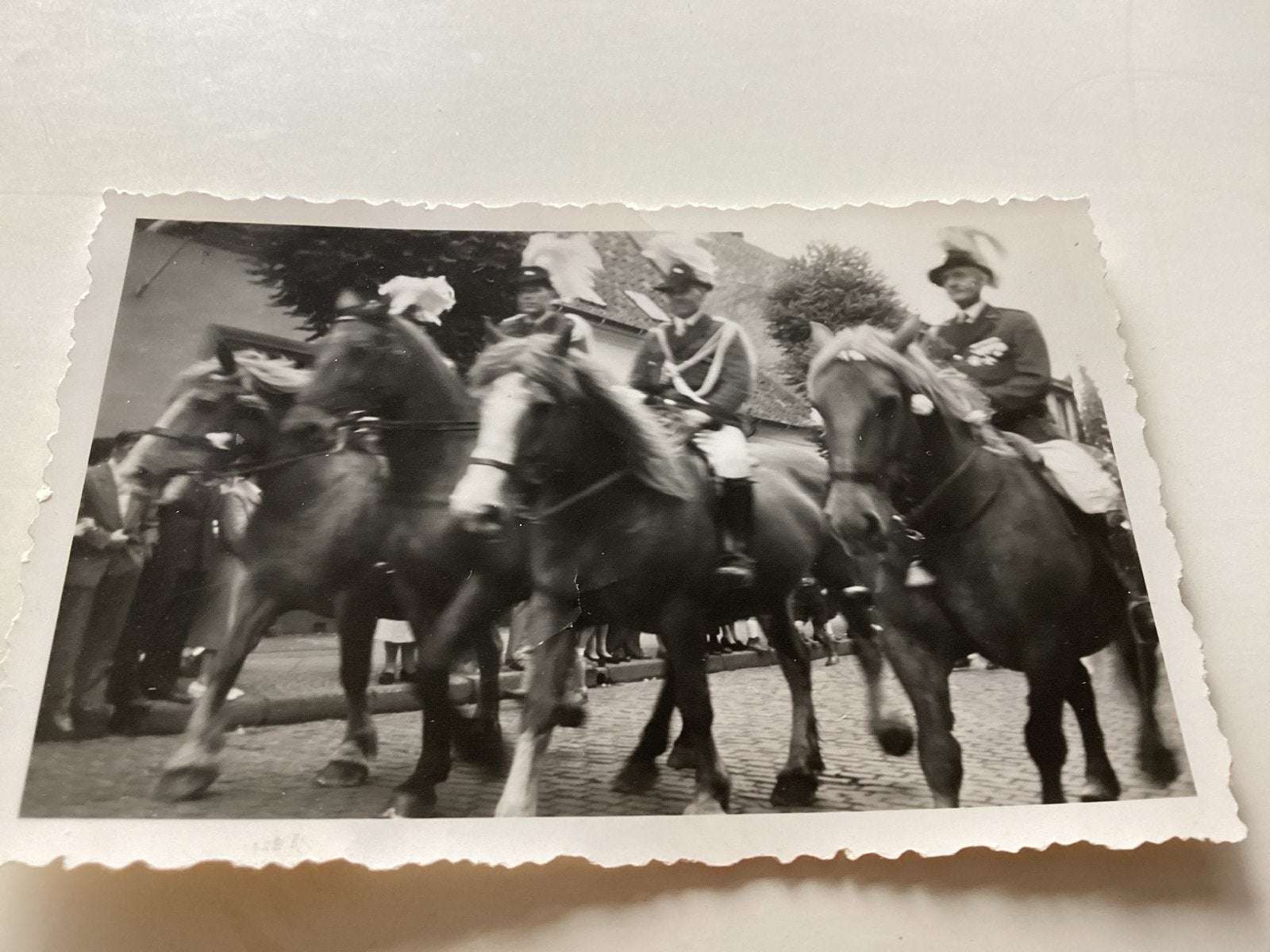 Oude foto ruiters in uniform op paarden 6x9 cm, Gebruikt, Foto, Ophalen of Verzenden, Voor 1940