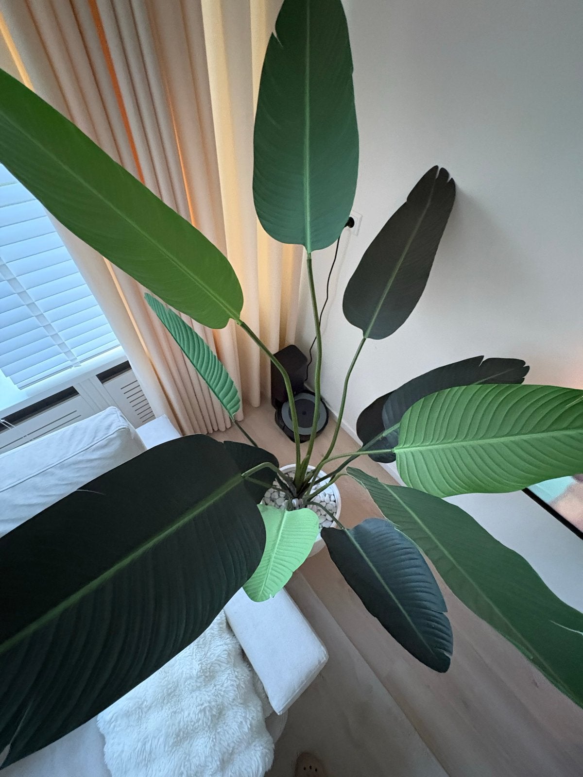 Grote kunstplant Strelitzia 190cm - Realistisch & Onderhouds, Ophalen, Binnen, Groen, Kunstplant