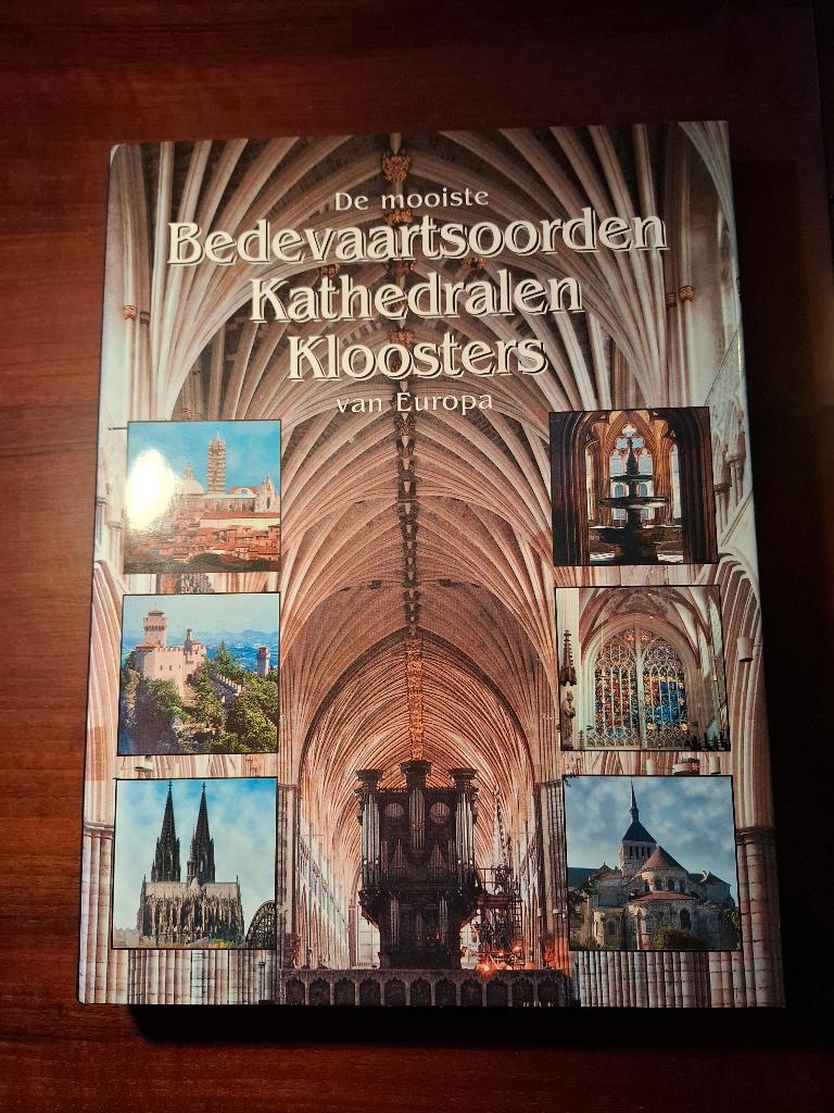 Kunstboek: Bedevaartsoorden Kathedralen Kloosters Europa, Gelezen, Brambock, Ophalen of Verzenden, Stijl of Stroming
