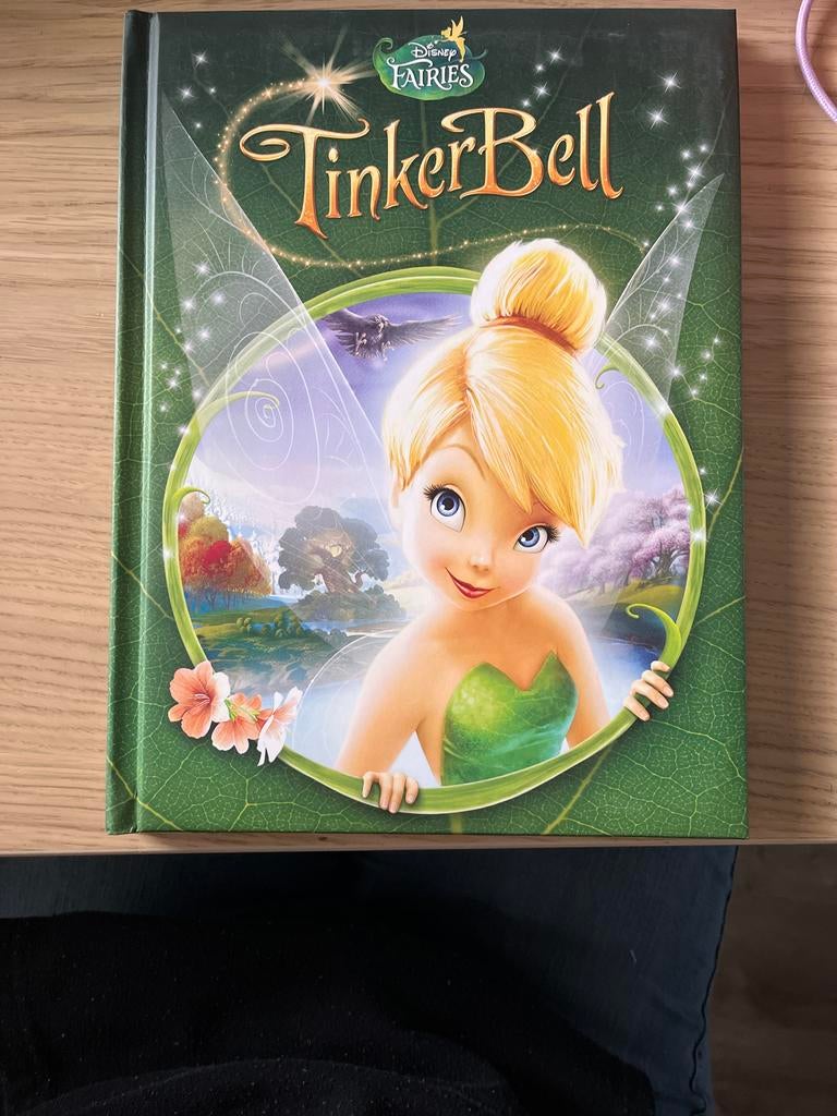 Disney Fairies TinkerBell - Sprookjesboek, Ophalen of Verzenden, Gelezen, Sprookjes