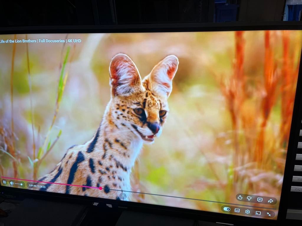SHARP TOUCHSCREEN ULTRA HD 75inch Norm€6331,89 nu €400,00, Ophalen, Gebruikt, Tv en Weergevers