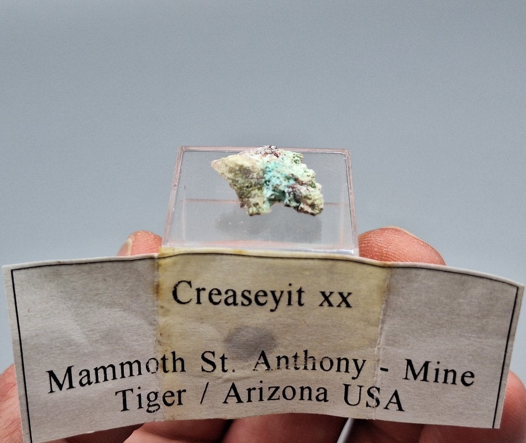 Creaseyiet - Mammoth -Saint Anthony Mine, Arizona, USA (tl), Ophalen of Verzenden, Mineraal
